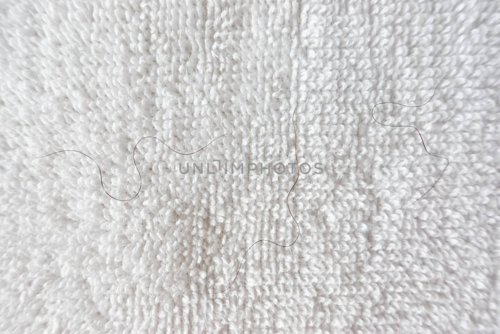 pubic hair fall on white towel