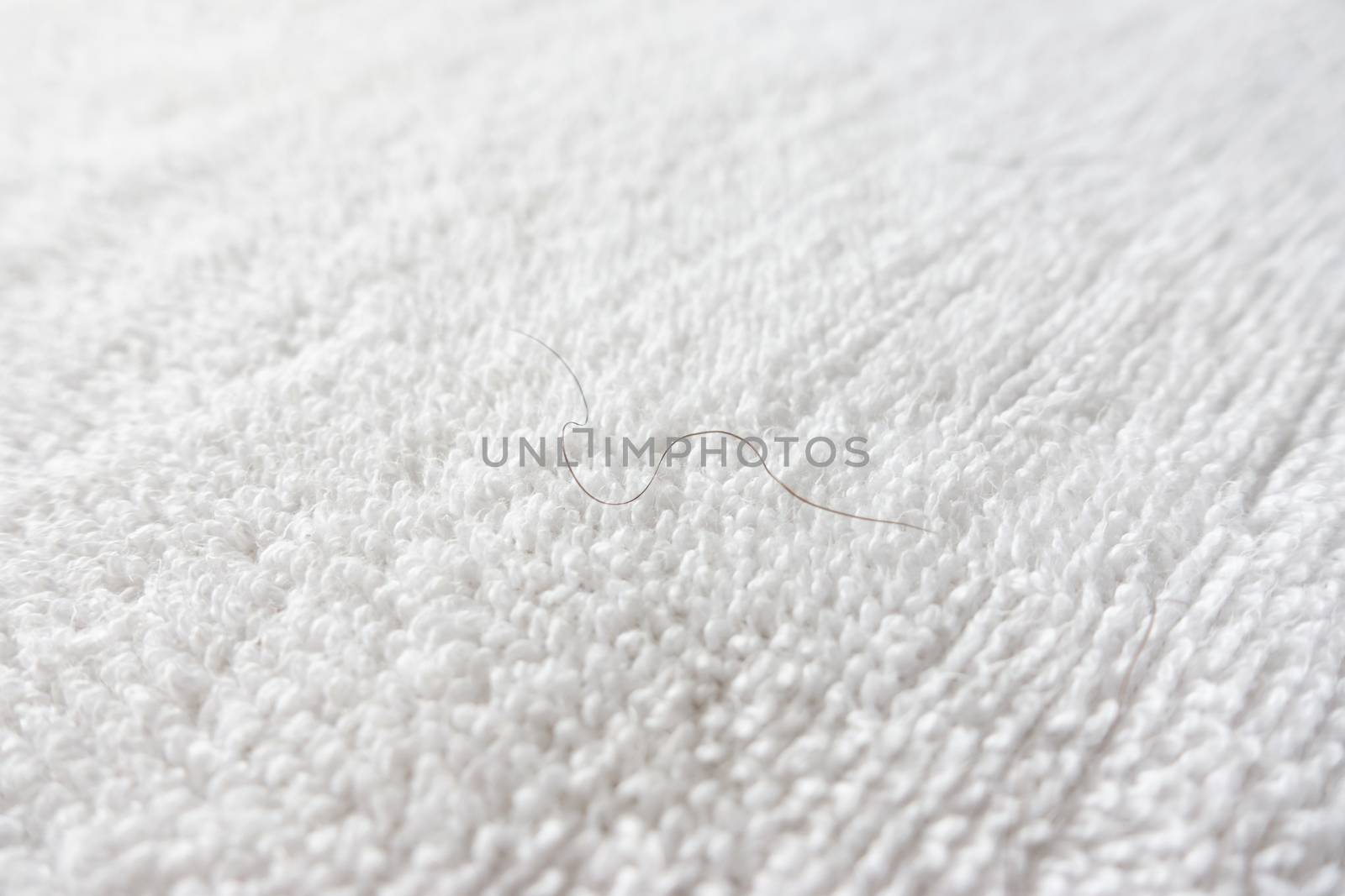 pubic hair on white towel by anankkml