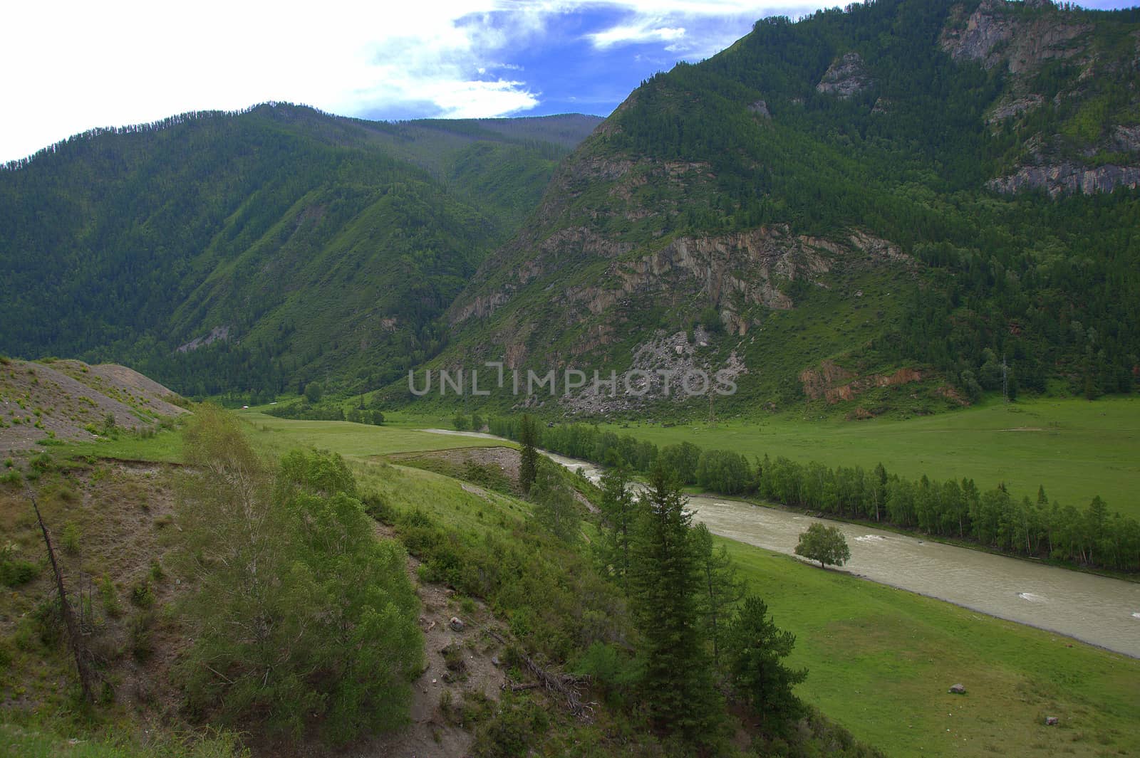 A calm river flowing through a mountain summer valley. Altai, Siberia, Russia.
