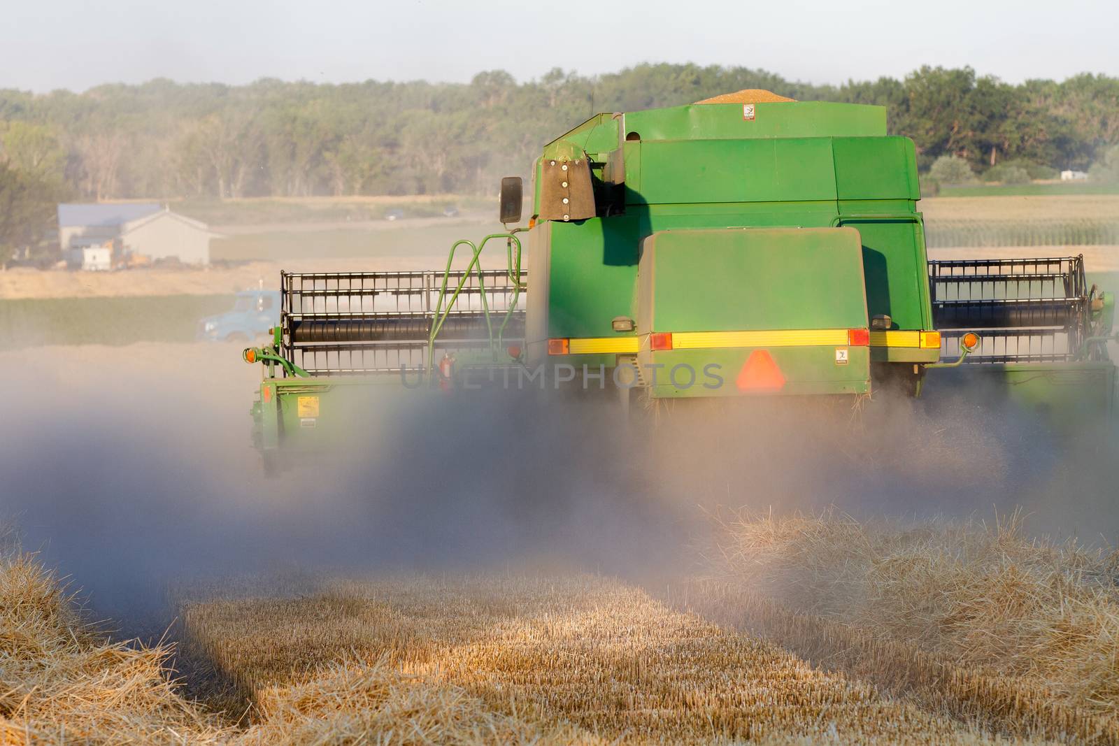 harvesting crops at the end of summer