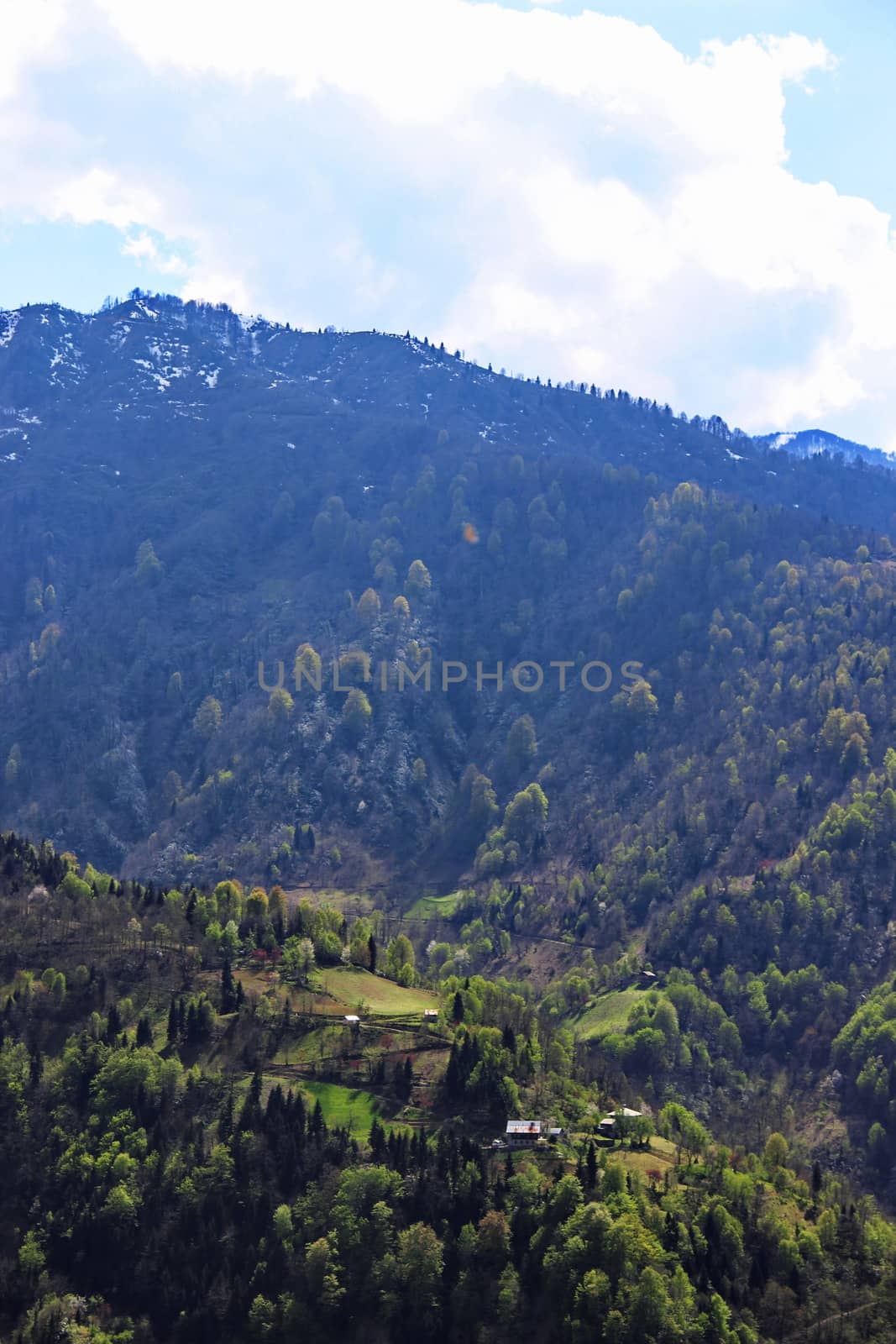 Photo of Village in the mountains of Georgia, Adjara, spring