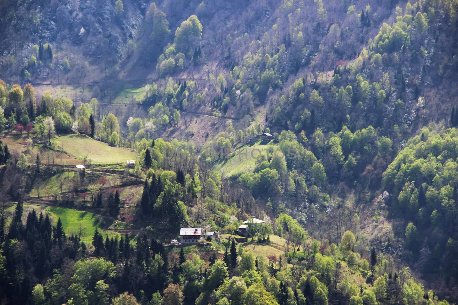 Photo of Village in the mountains of Georgia, Adjara, spring