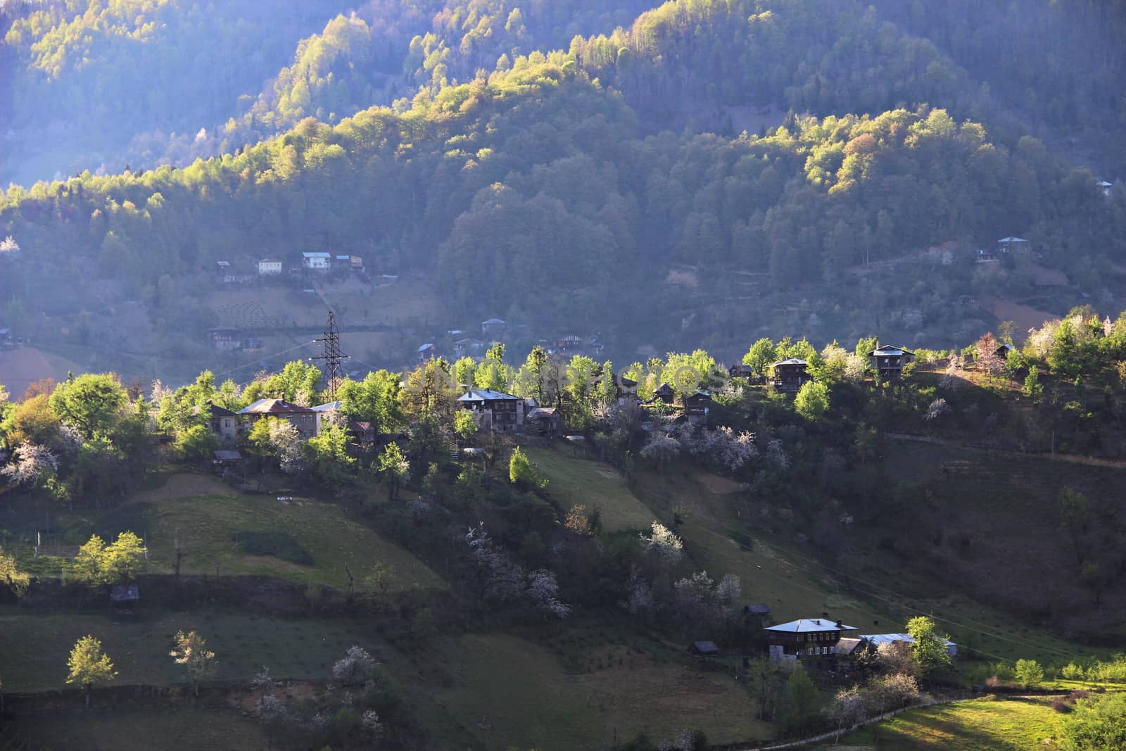 Photo of Village in the mountains of Georgia, Adjara, spring