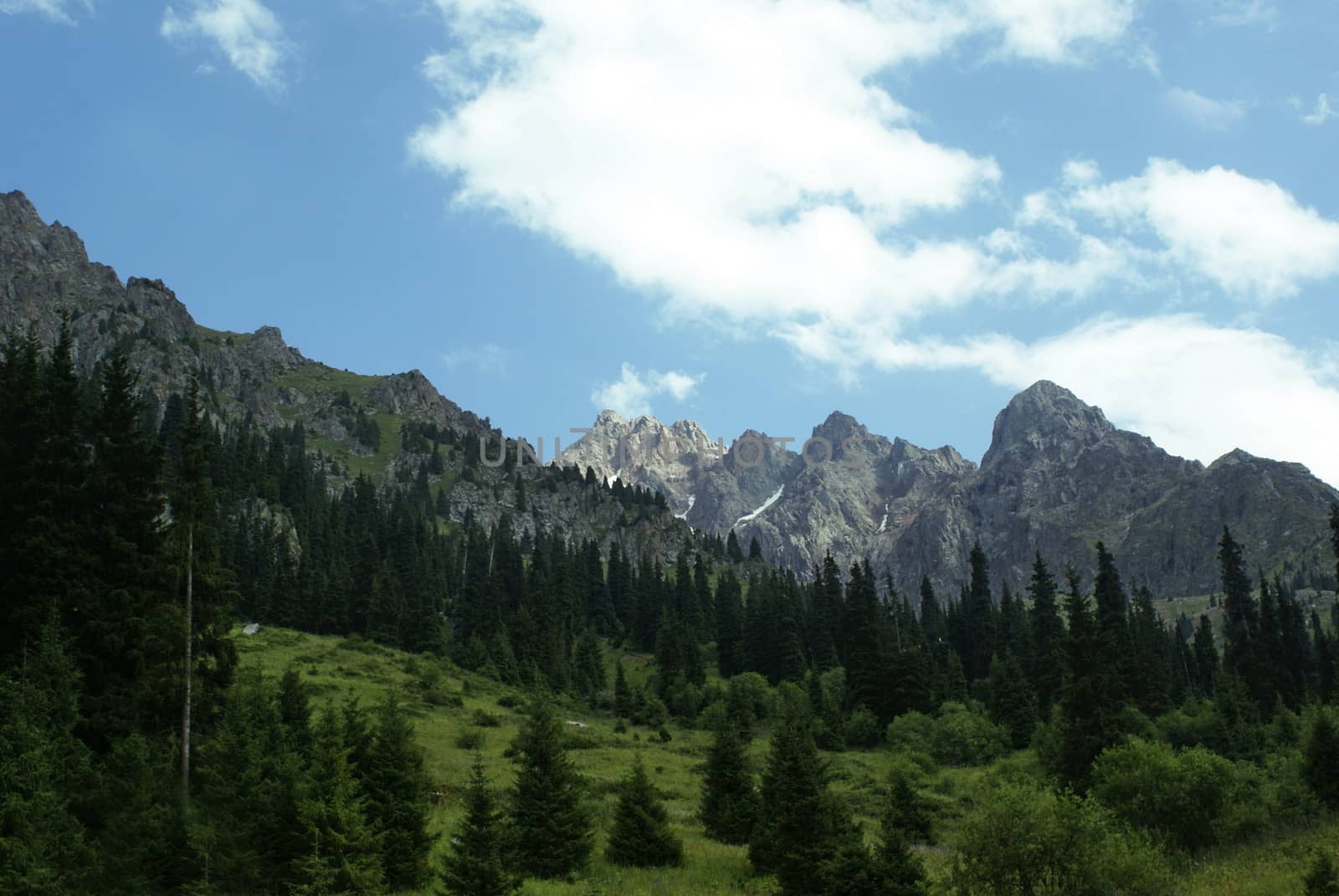 Mountain canyon in summer near the Chimbulak ski resort, Almaty, Kazakhstan