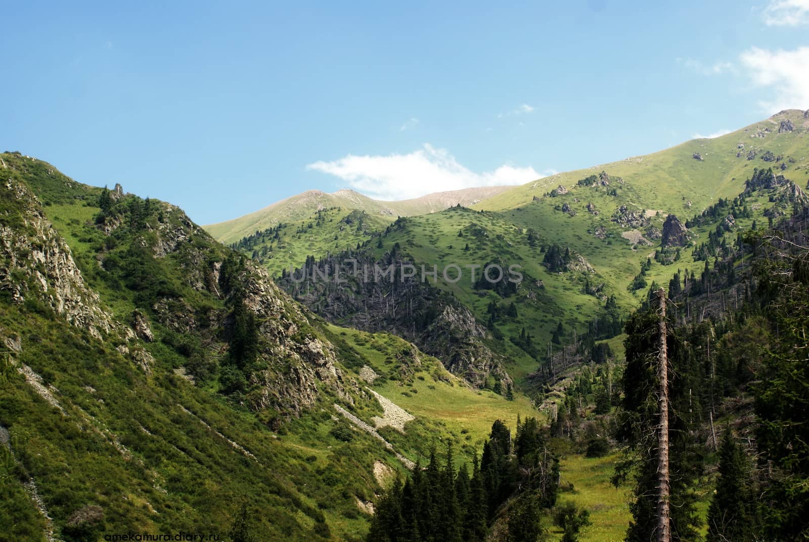 Mountain canyon in summer near the Chimbulak ski resort, Almaty, Kazakhstan