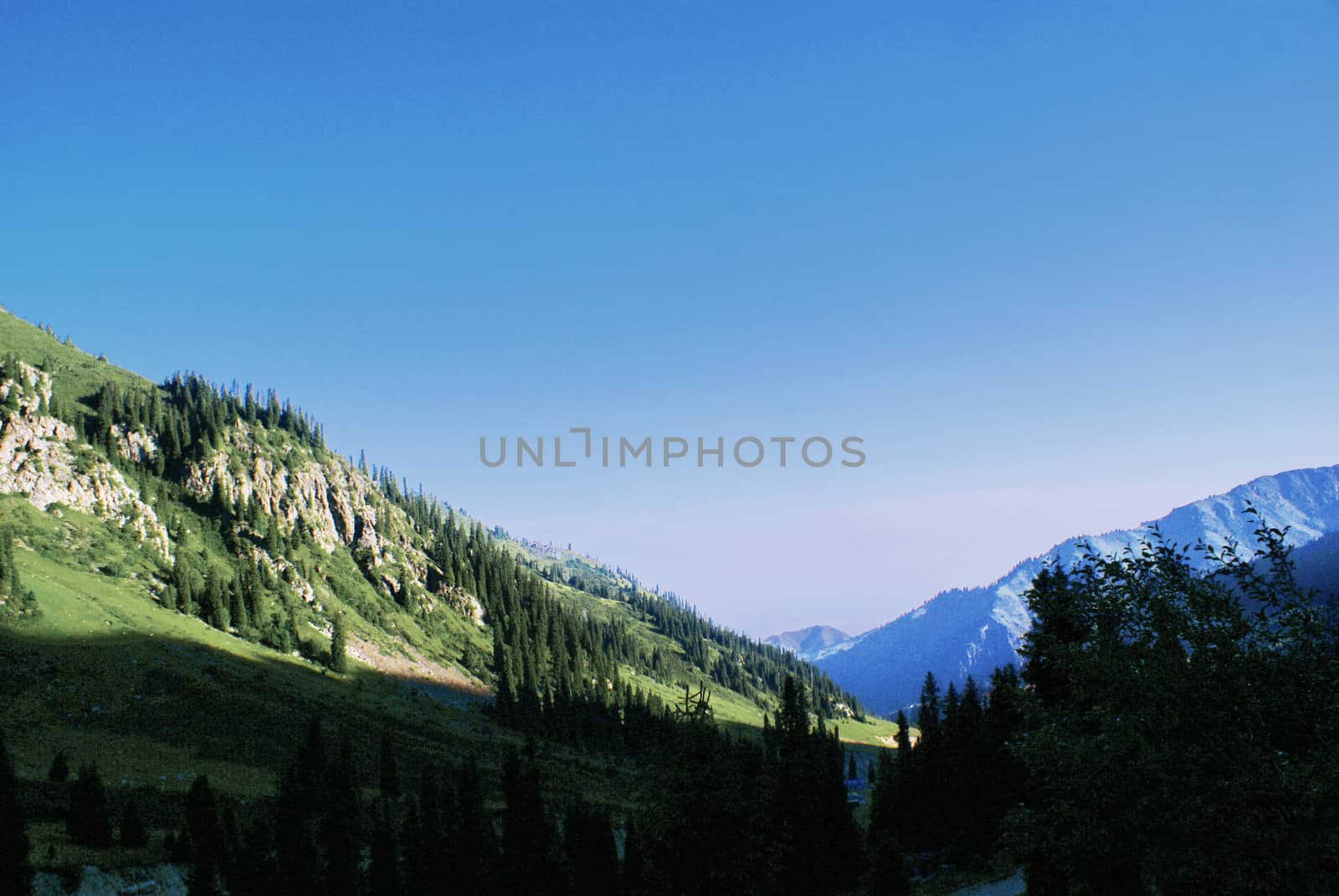 Mountain canyon in summer near the Chimbulak ski resort, Almaty, Kazakhstan