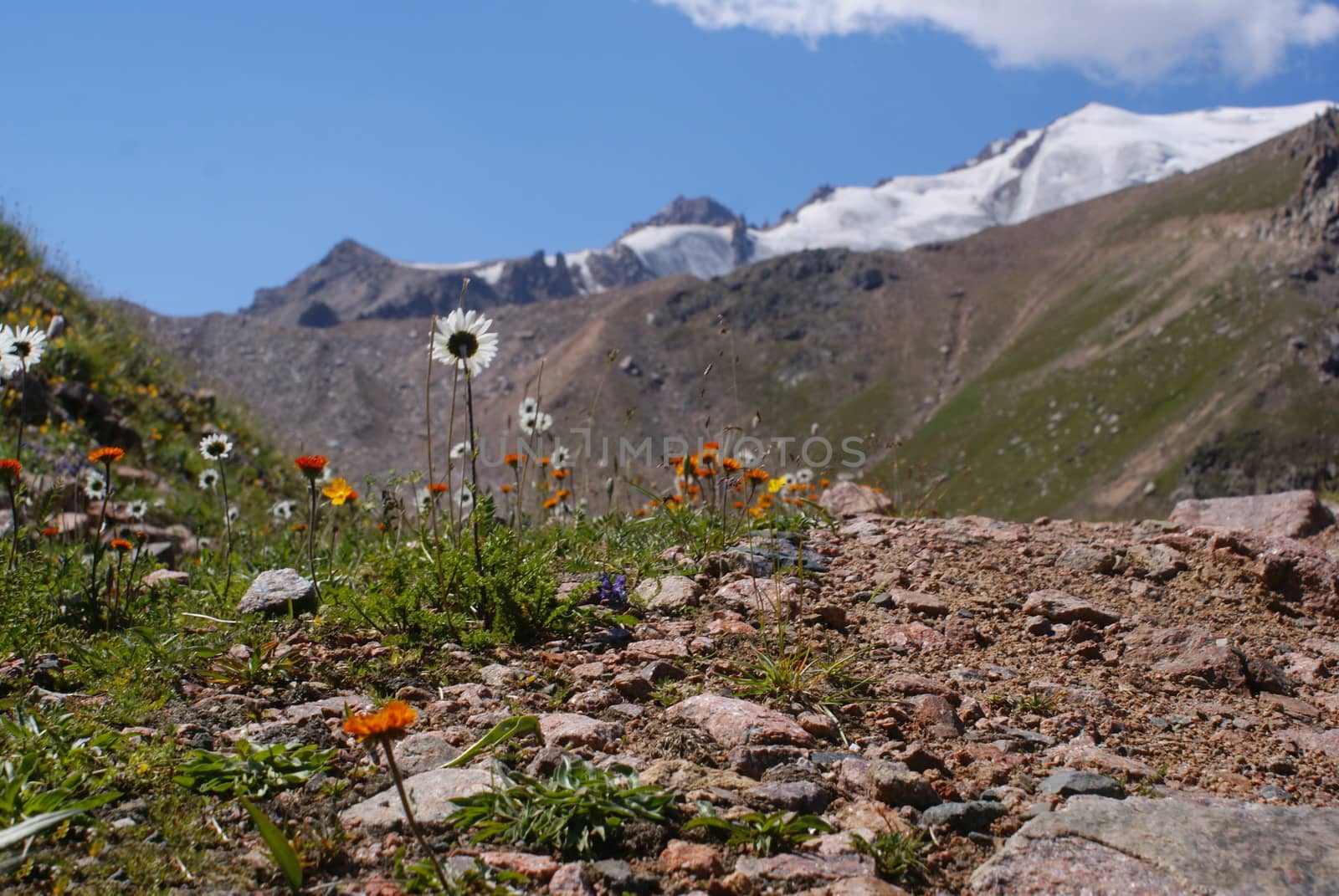 Mountain canyon in summer near the Chimbulak ski resort, Almaty, Kazakhstan