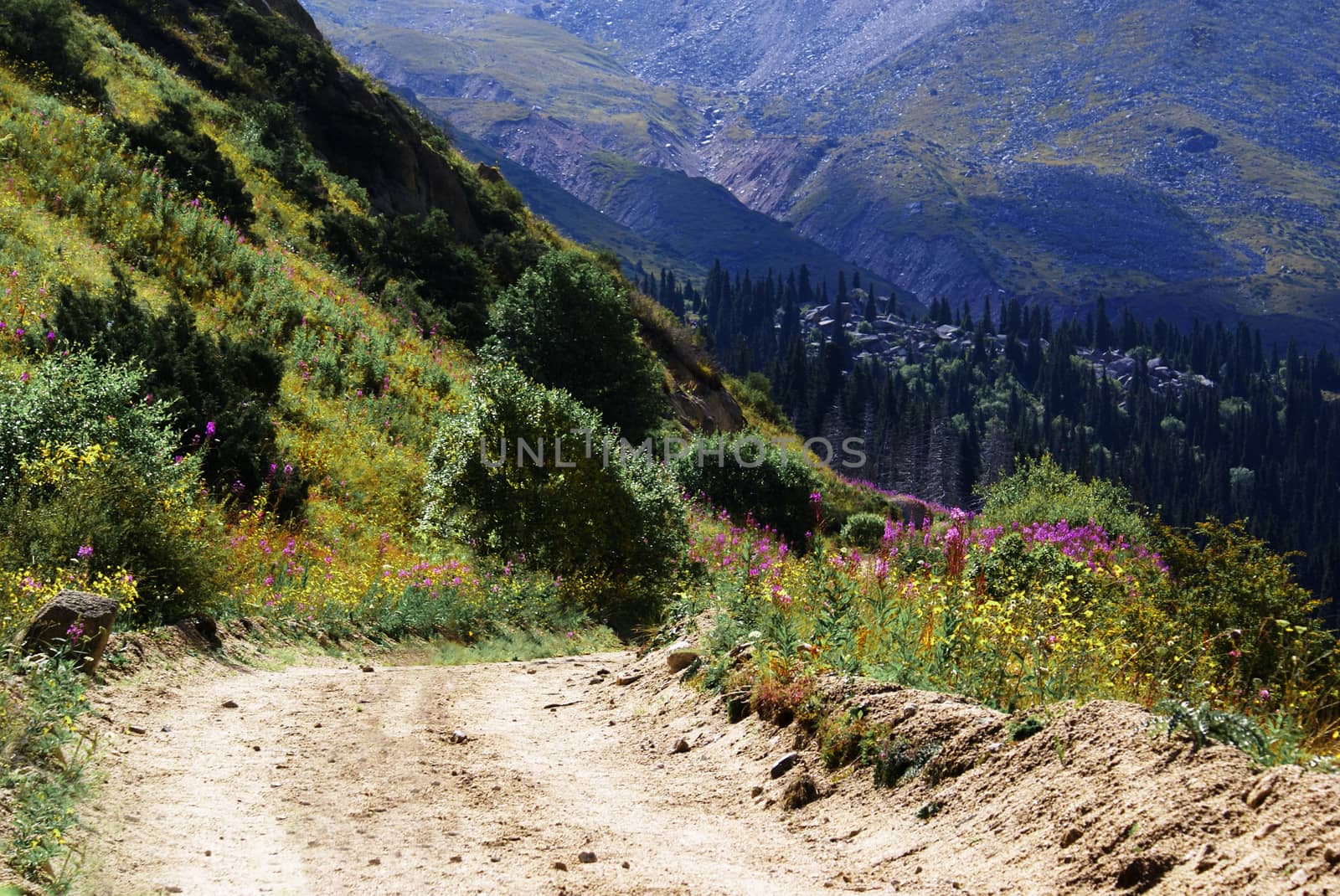 road in the middle of the mountains, summer, Almaty, Kazakhstan