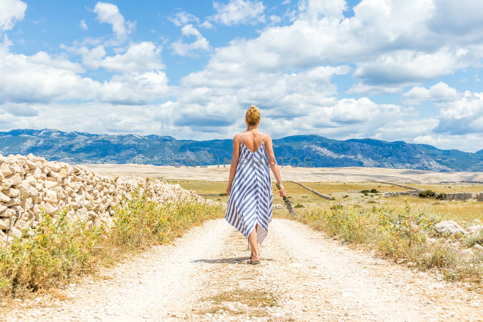 Rear view of woman in summer dress holding bouquet of lavender flowers while walking outdoor through dry rocky Mediterranean coast lanscape on Pag island, Croatia in summertime.