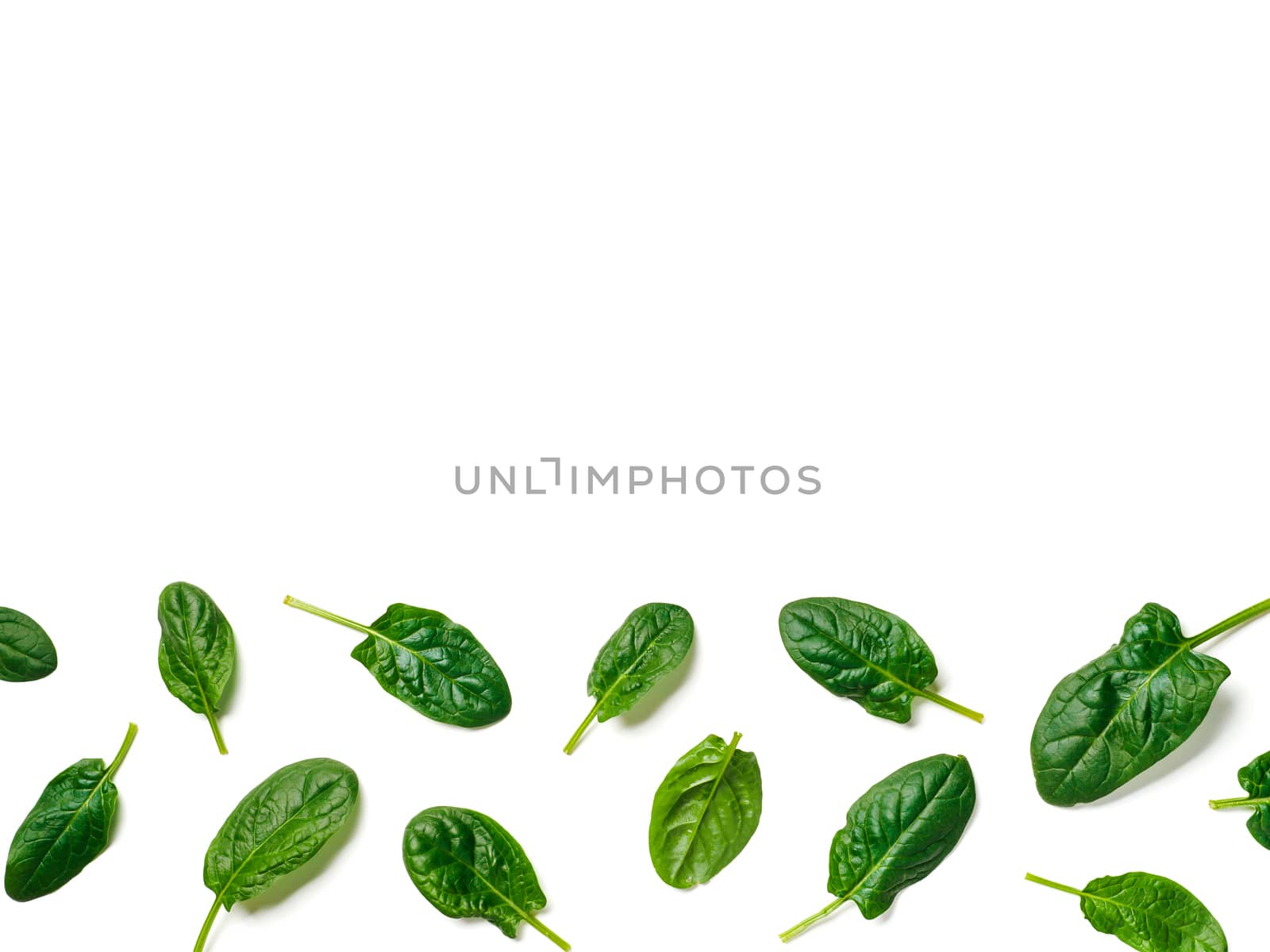 Pattern from baby spinach leaves frame isolated. Fresh green spinach isolated on white with clipping path. Top view or flat lay. Can use for design vegan and keto diet