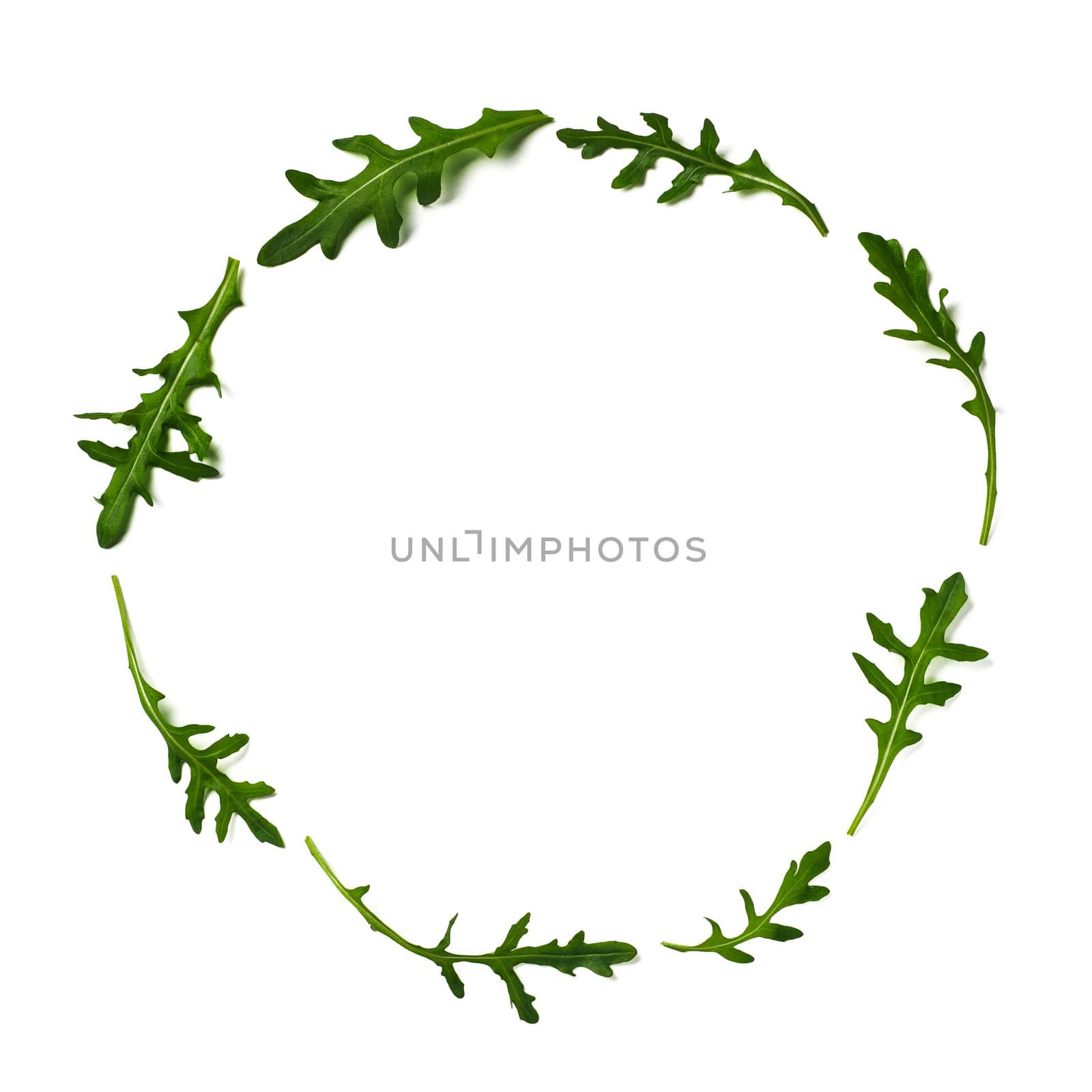 Pattern from arugula in round circle frame isolated. Circle shape in fresh green ruccola or arugula. Isolated on white with clipping path. Top view or flat lay. Can use for design vegan concept