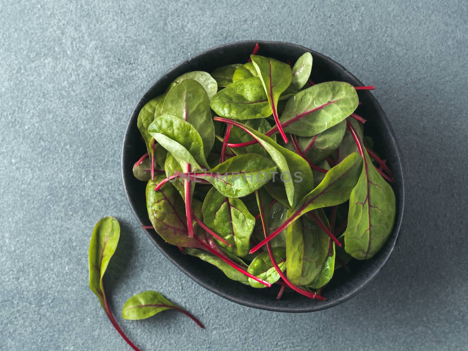 Fresh salad of green chard leaves or mangold on gray stone background. Flat lay or top view fresh baby beet leaves in craft ceramic bowl.