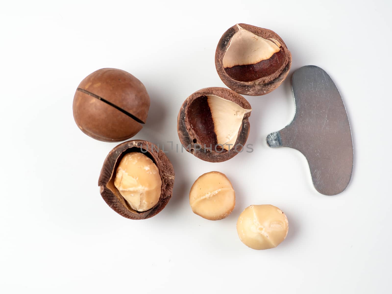 Set of macadamia nuts and nut cracker sheller on white background. Set of macadamia nuts - whole unshelled, with open shells, and shelled. Isolated on white. Copy space for text. Top view or flat lay