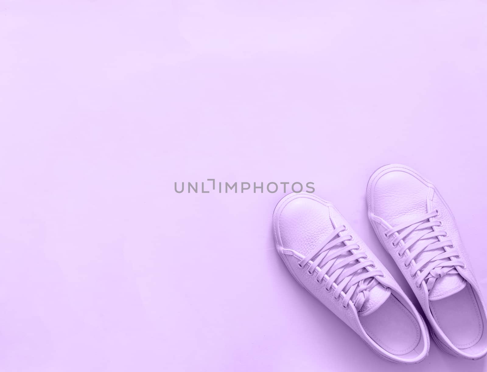 violet sneakers on violet background, copy space by fascinadora