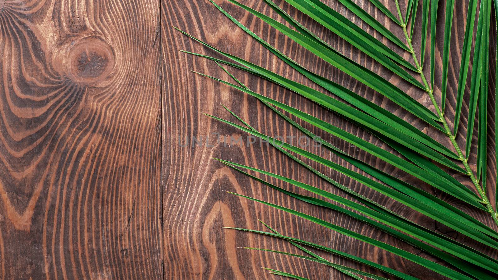 Palm leaves on brown wooden background. Tropical palm leaves top view or flat lay. Copy space for text or design. Horizontal banner. Tropical palm leave, jungle leave floral pattern background