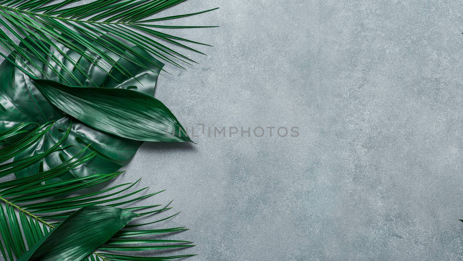 Tropical leaves on gray stone background, copy space by fascinadora