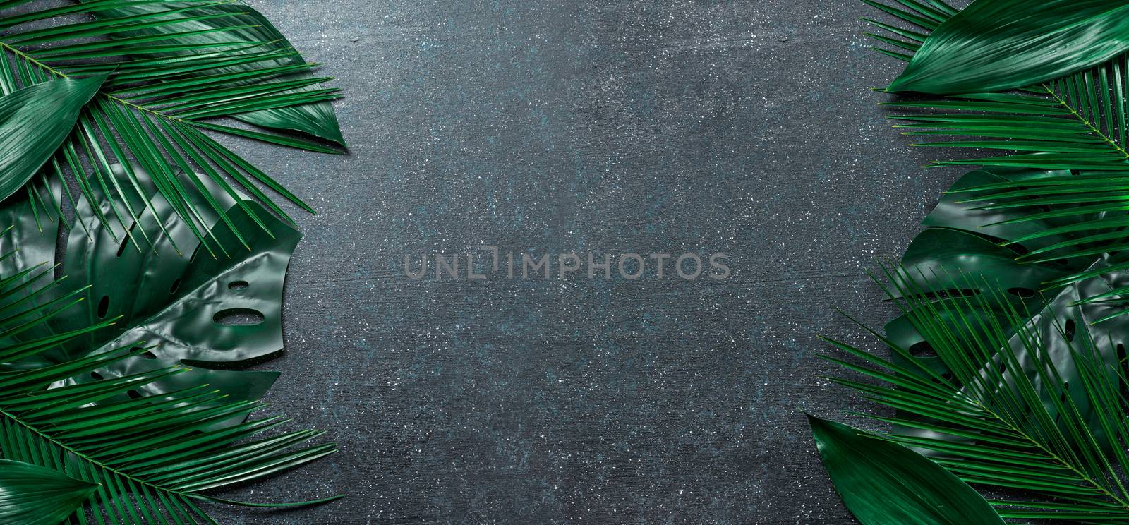 Tropical leaves on dark blue background copy space by fascinadora