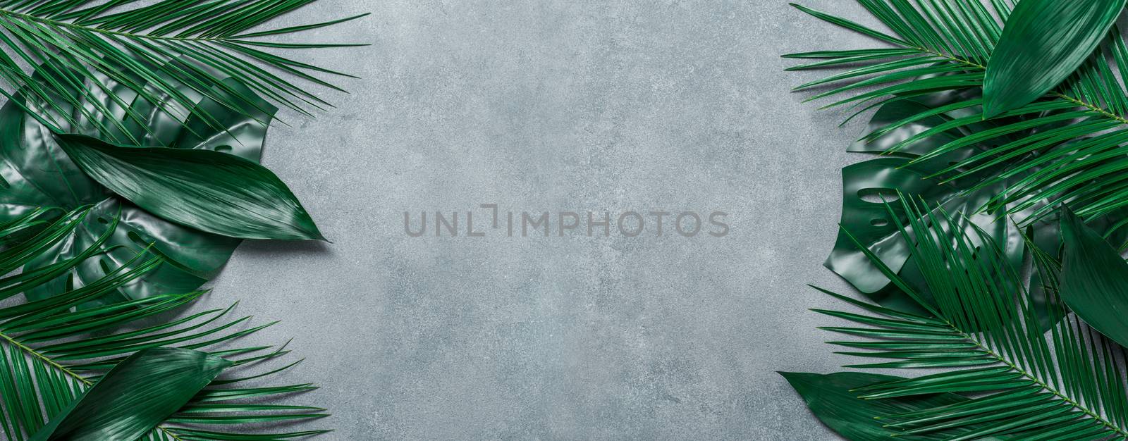 Palm leaves on gray stone background. Tropical leaves top view or flat lay. Copy space for text or design. Horizontal banner. Tropical palm leave, jungle leave floral pattern background