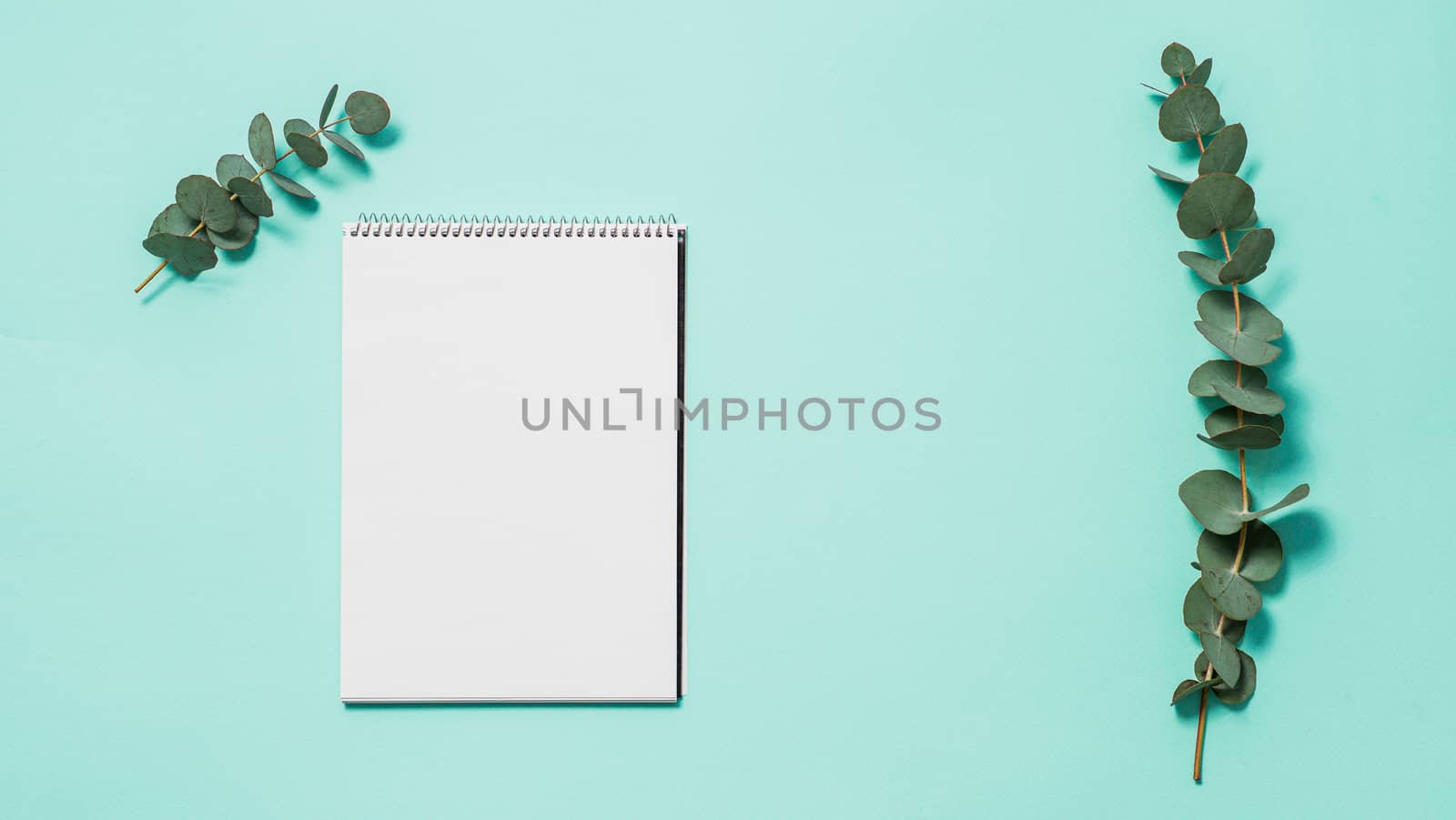Blank notebook and eucalyptus on blue background. Empty notebook paper and eucalyptus branch on pastel blue background with copy space for text or design.Horizontal banner.Flat lay, top view,copyspace