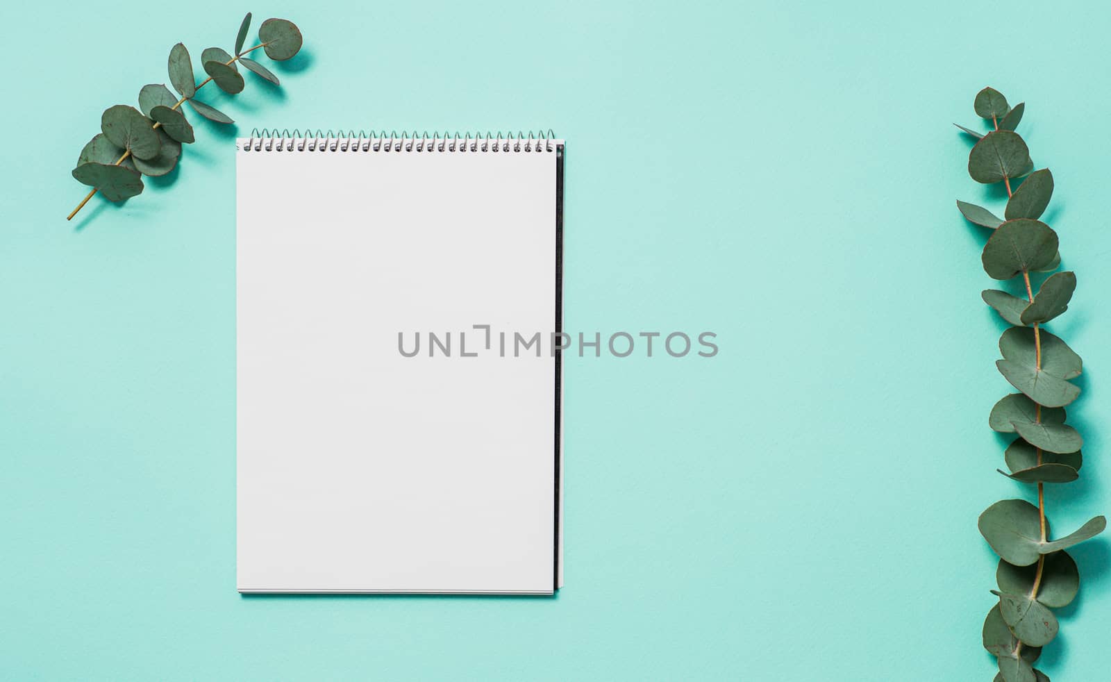 Blank notebook and eucalyptus on blue background by fascinadora