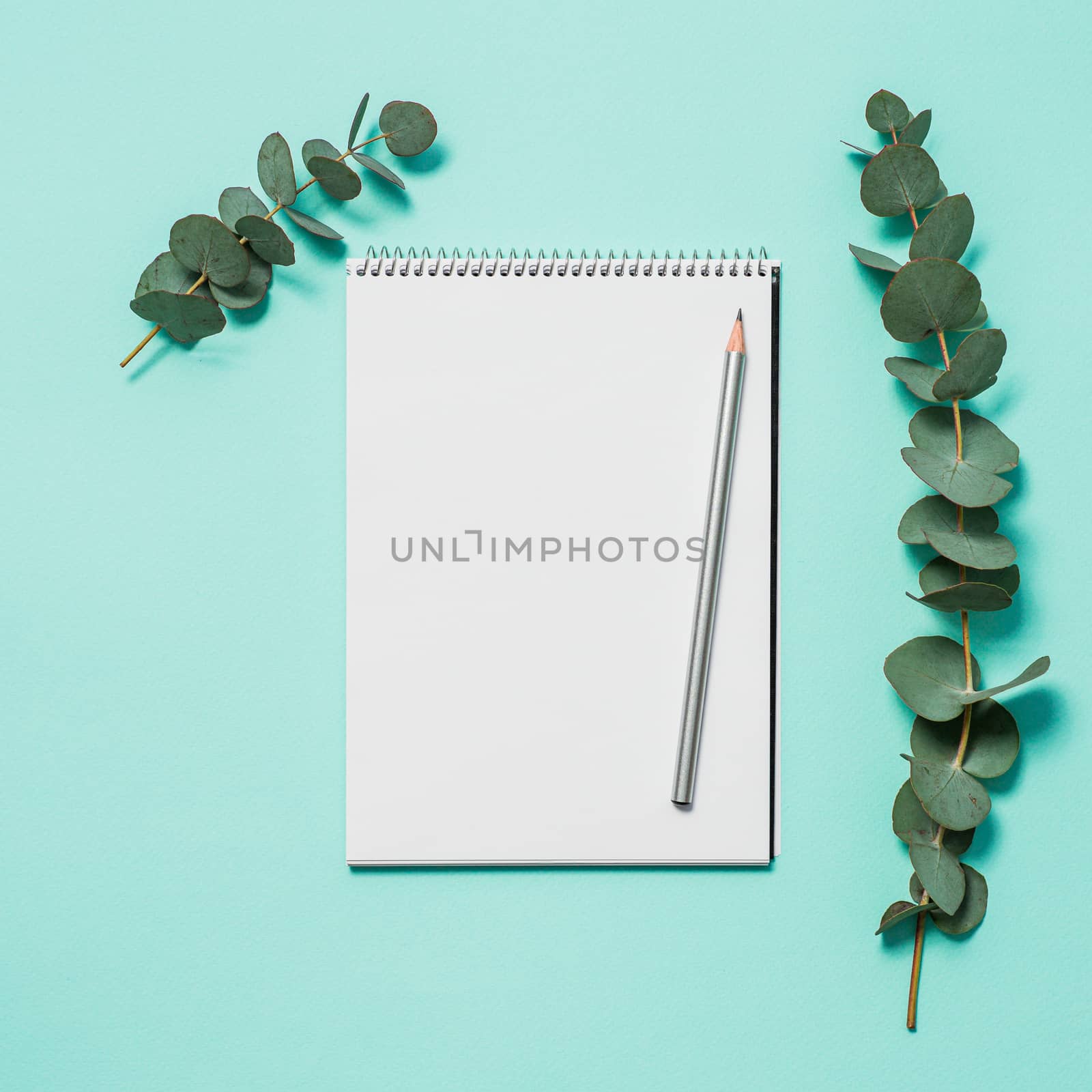 Blank notebook, pencil and eucalyptus on blue background. Empty notebook paper and eucalyptus branch on pastel blue background with copy space for text or design. Flat lay, top view, copyspace, square