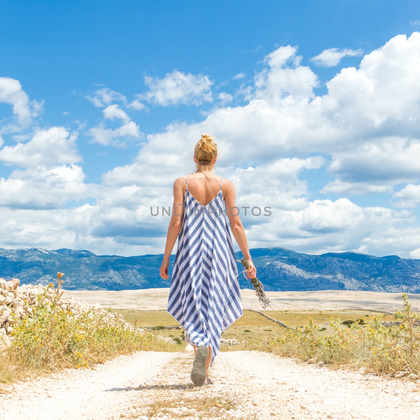 Rear view of woman in summer dress holding bouquet of lavender flowers while walking outdoor through dry rocky Mediterranean Croatian coast lanscape on Pag island in summertime by kasto