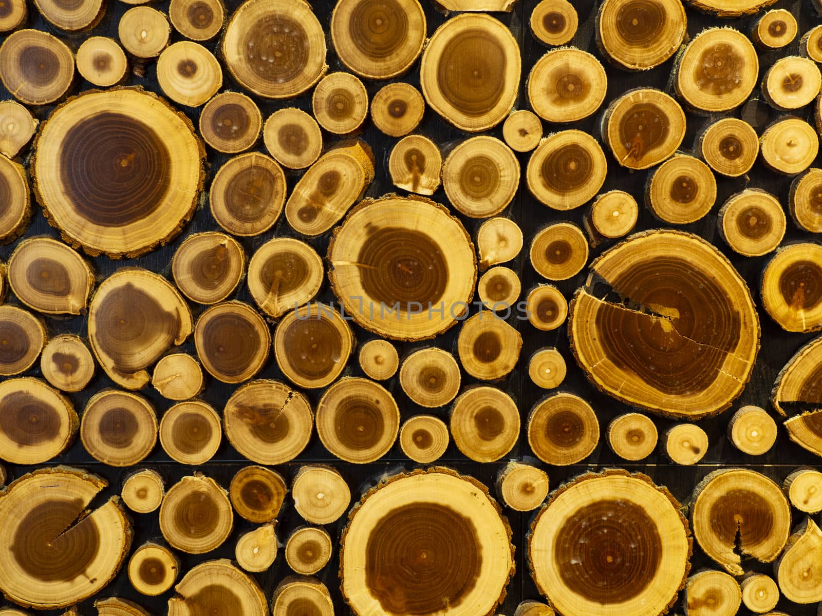 Timber texture. Background consisting of logs. Wood texture with natural patterns