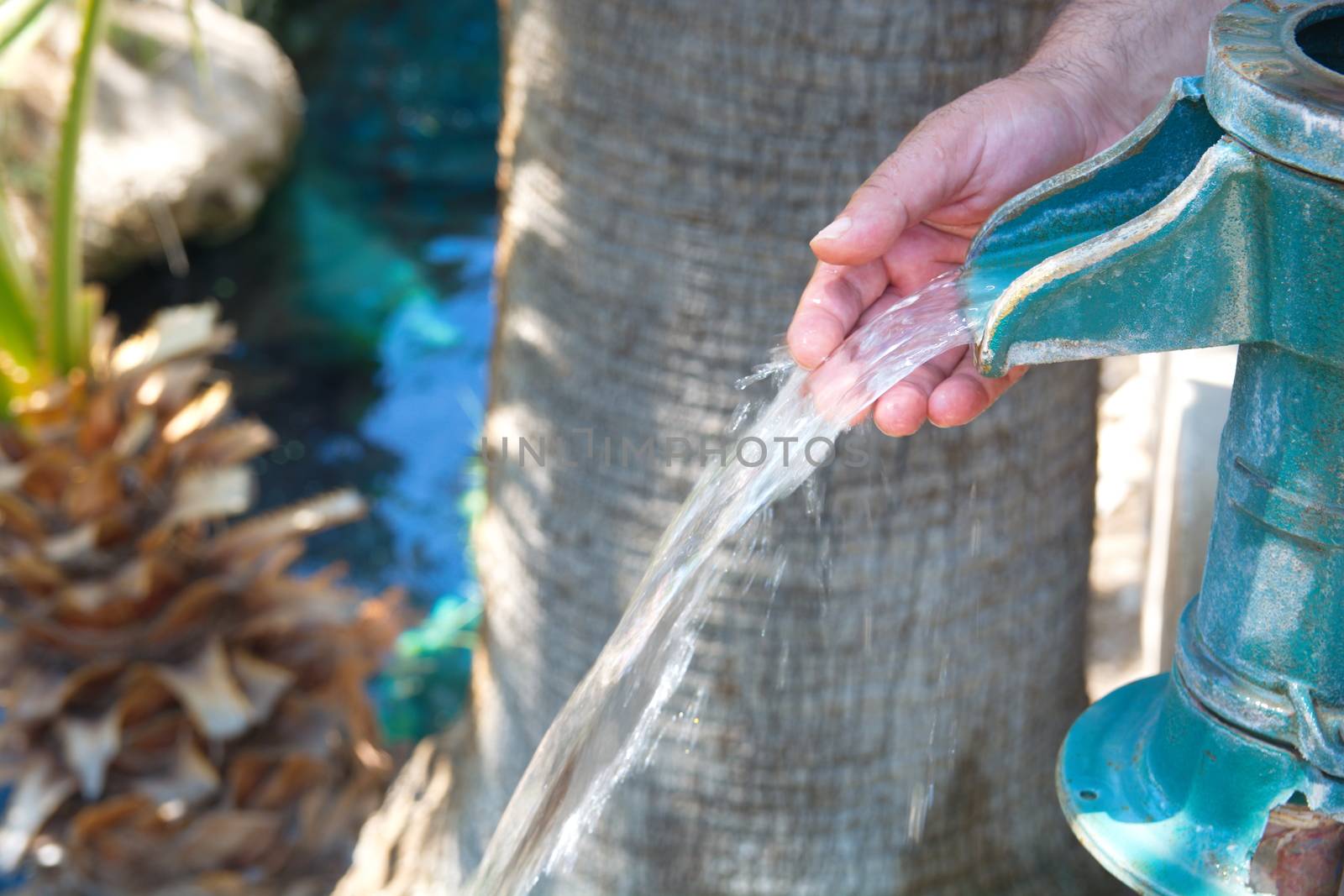 drinking water from the force pump. natural spring water.