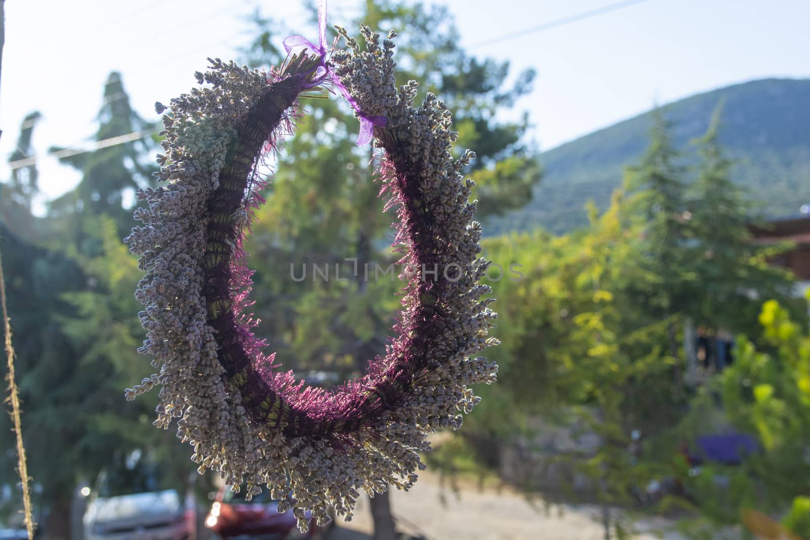 lavender crown. background made of lavender flowers. "Isparta / kuyucak / turkey"