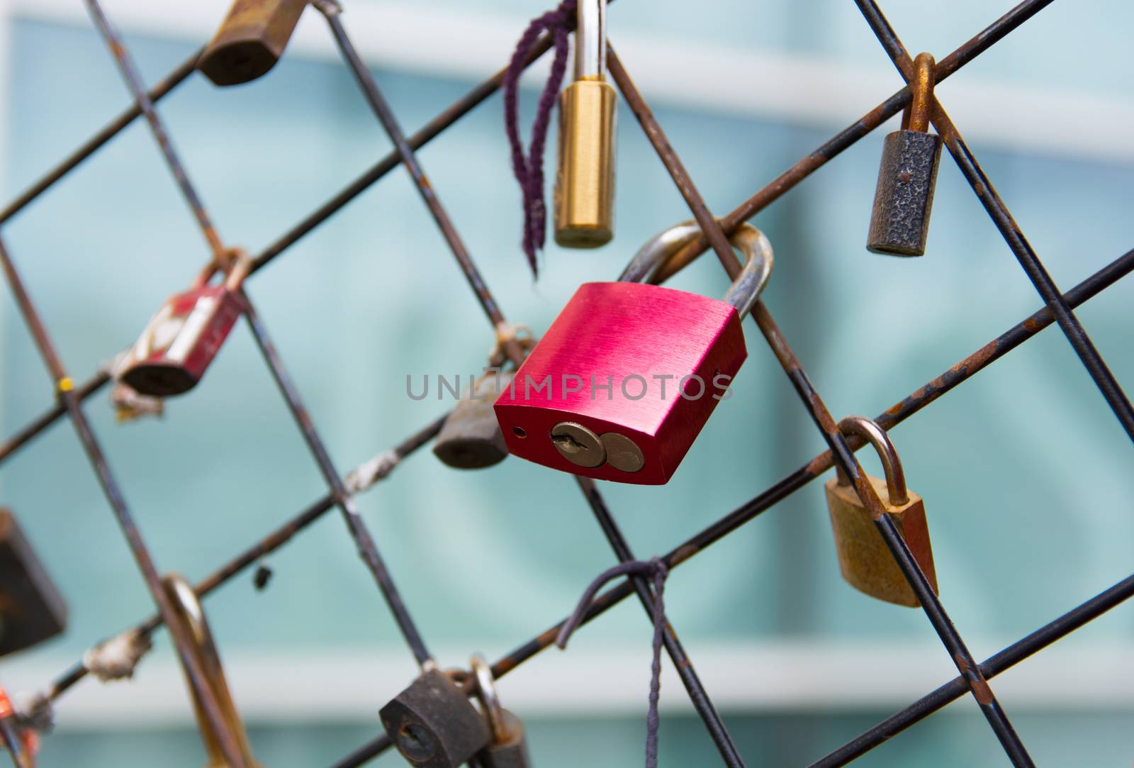 love locks. Symbols of the lovers, padlocks on the day of the lovers