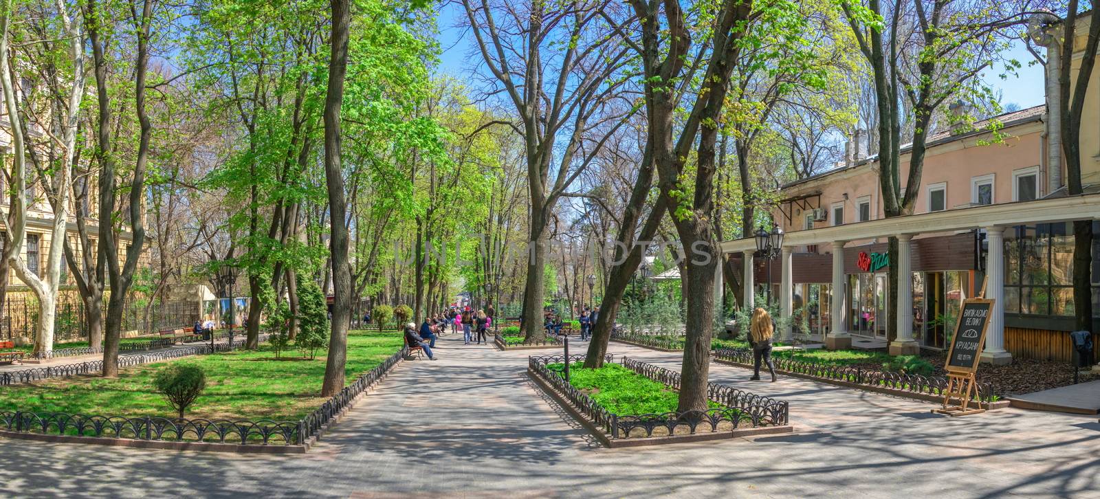 Odessa City Garden in springtime by Multipedia