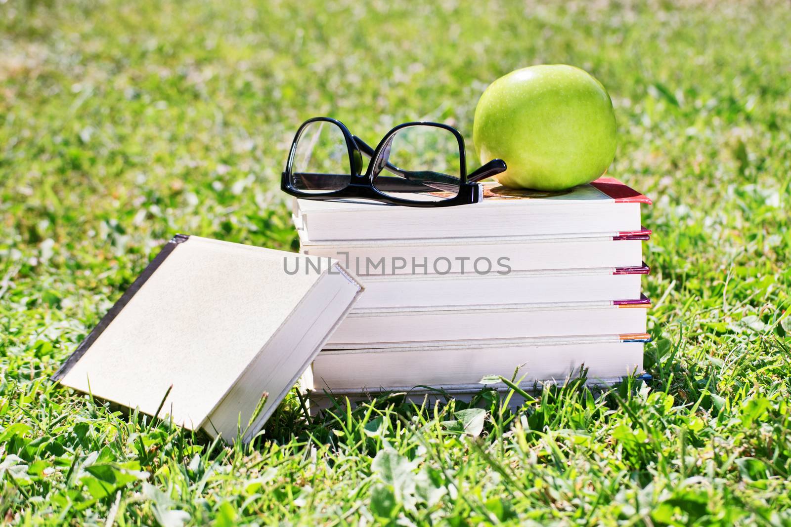 Books, glasses and apple on a meadow. Time to go back to school.