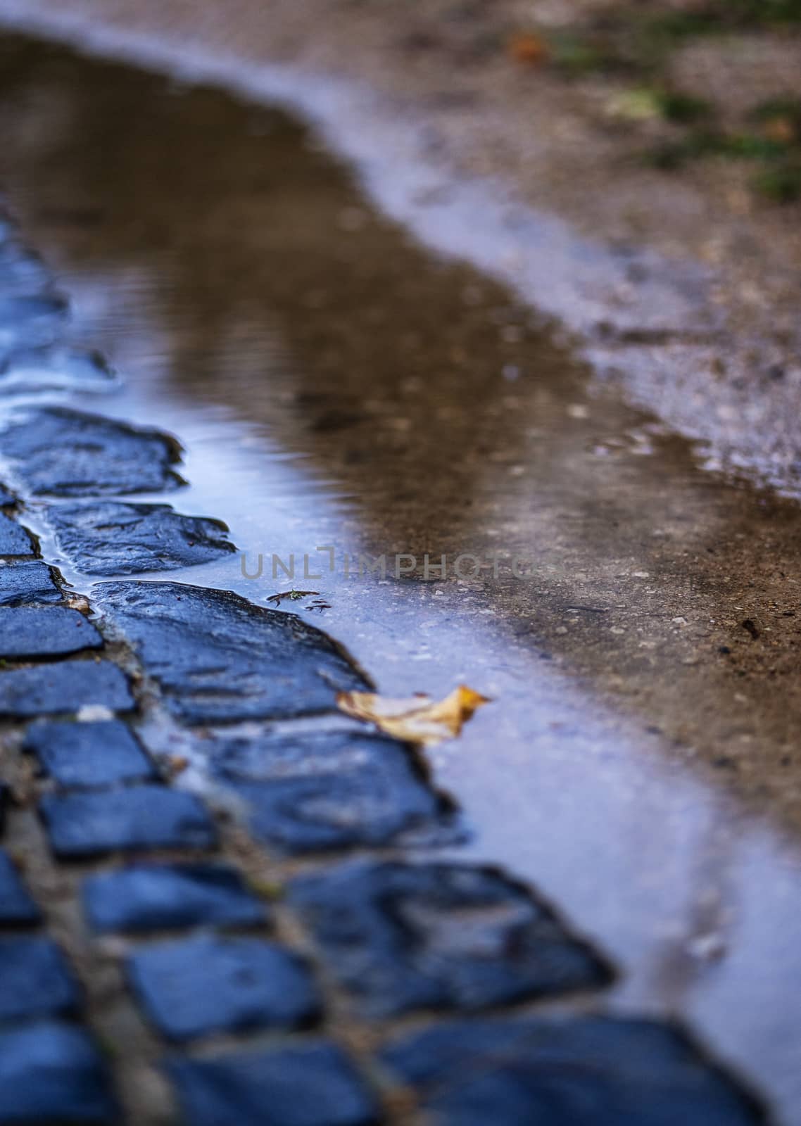 Cobblestones and a puddle of water with a fallen leaf inside.