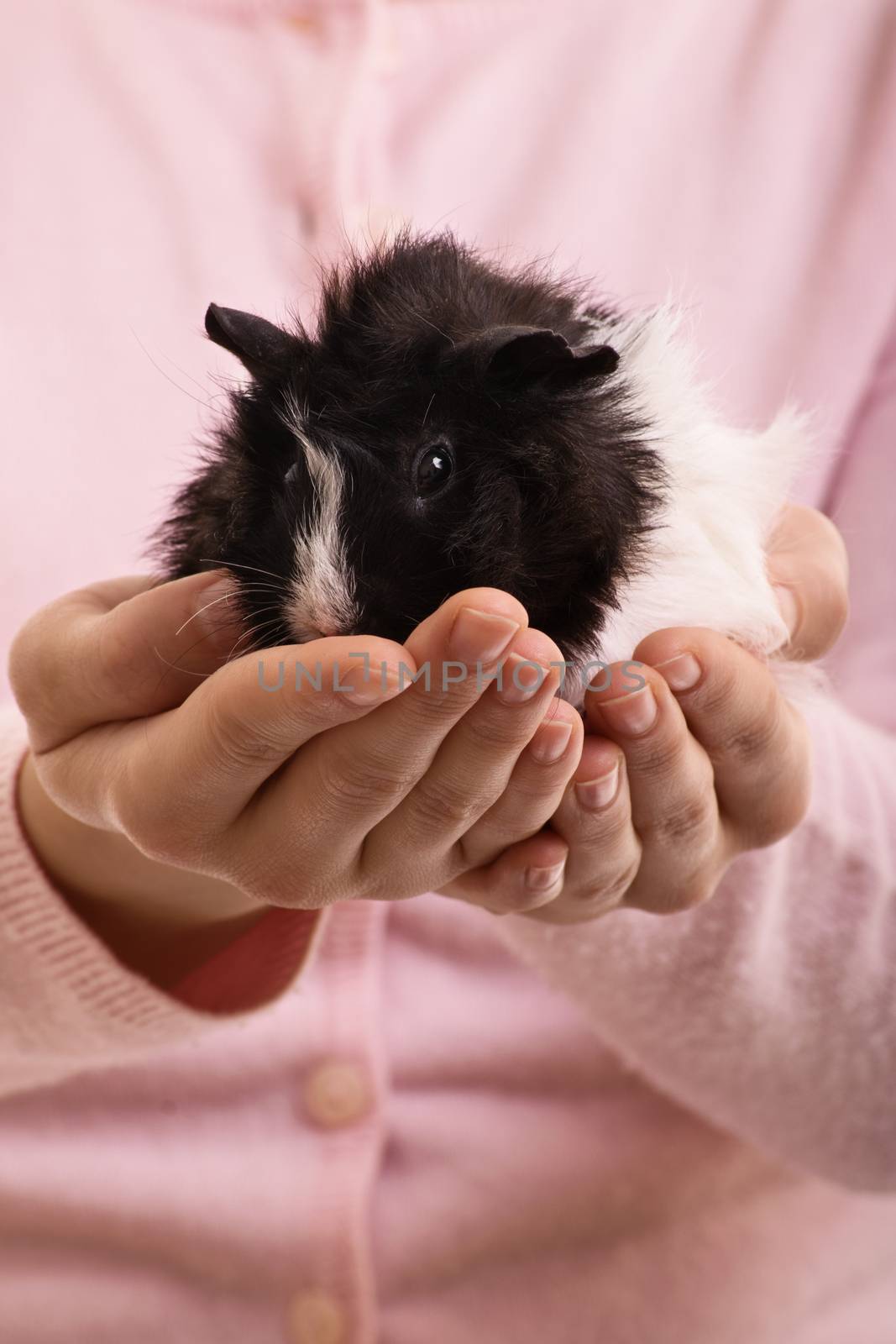Girl holding her guinea pig by Mendelex