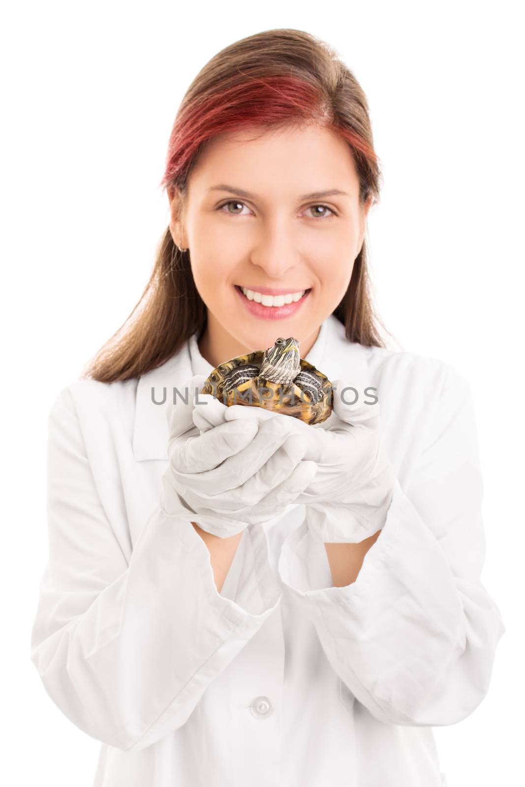 Young veterinarian holding a little pet turtle by Mendelex