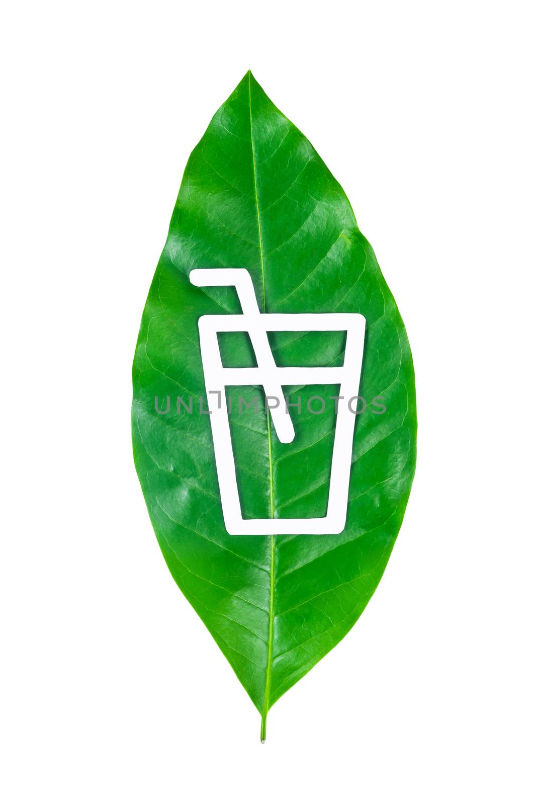 glass ans straw made from paper cut out on leaf green tree isolated on white background, save clipping paht. Biodegradable package concept.