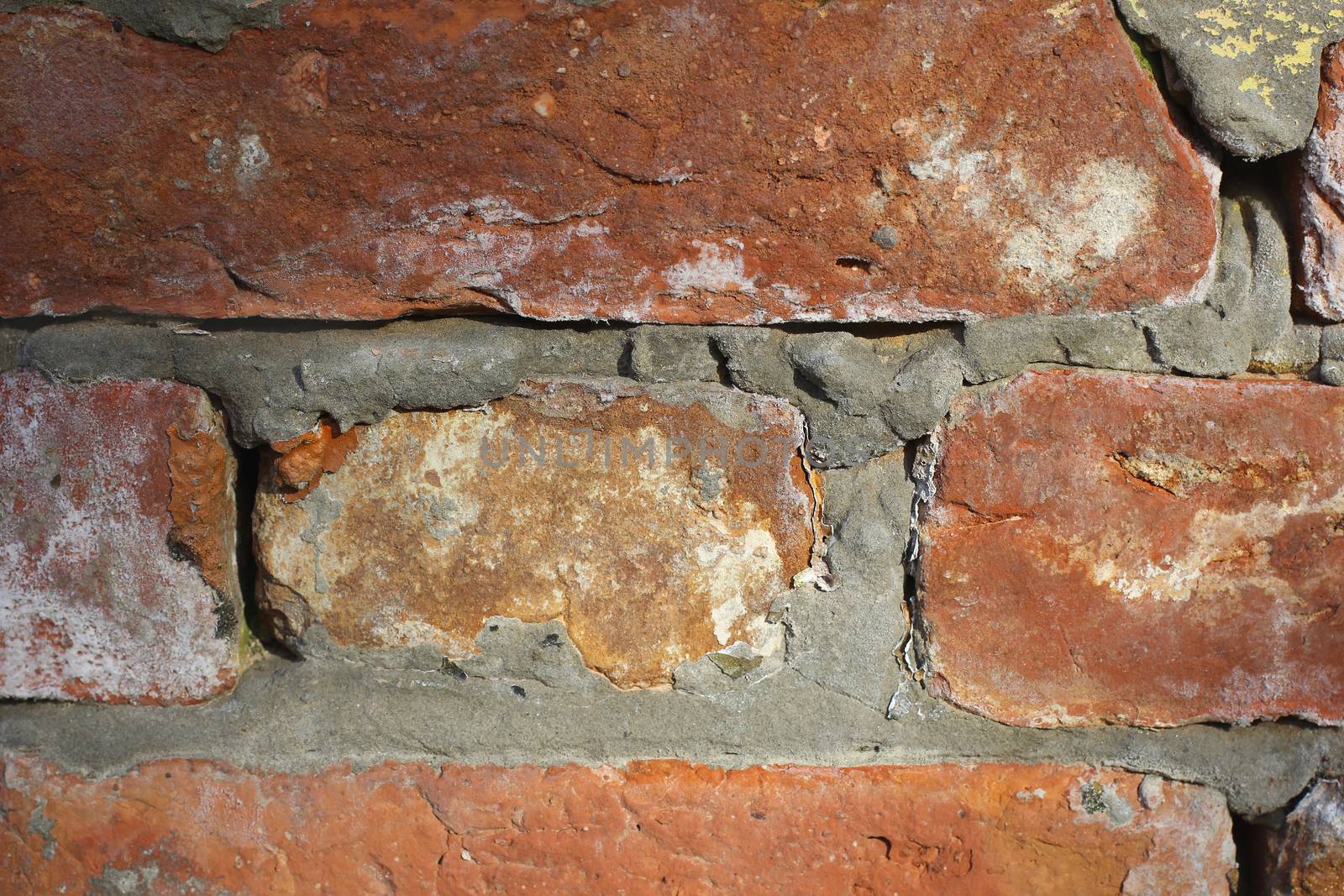 Laying bricks on mortar closeup. by Igor2006