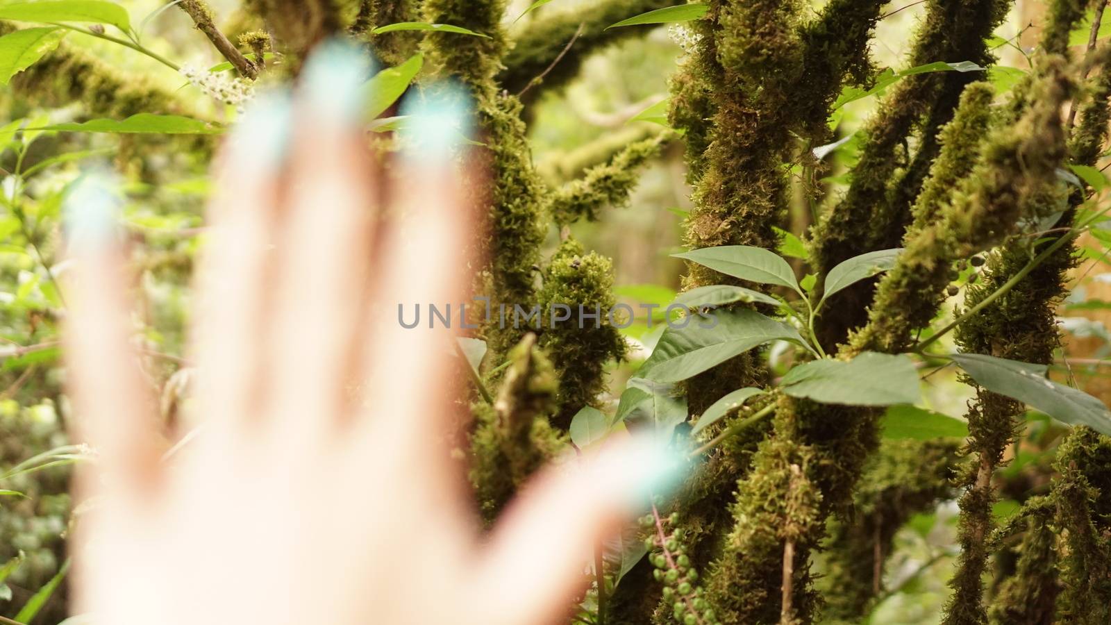 Close up of explorer female hand in green rainy forest. Survival travel, lifestyle concept.