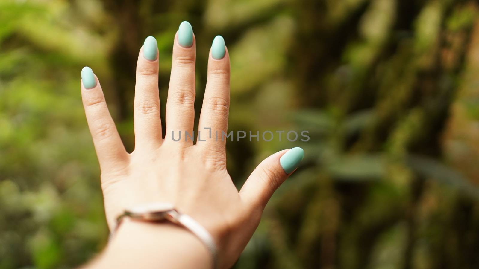 Close up of explorer female hand in green rainy forest. Survival travel, lifestyle concept.