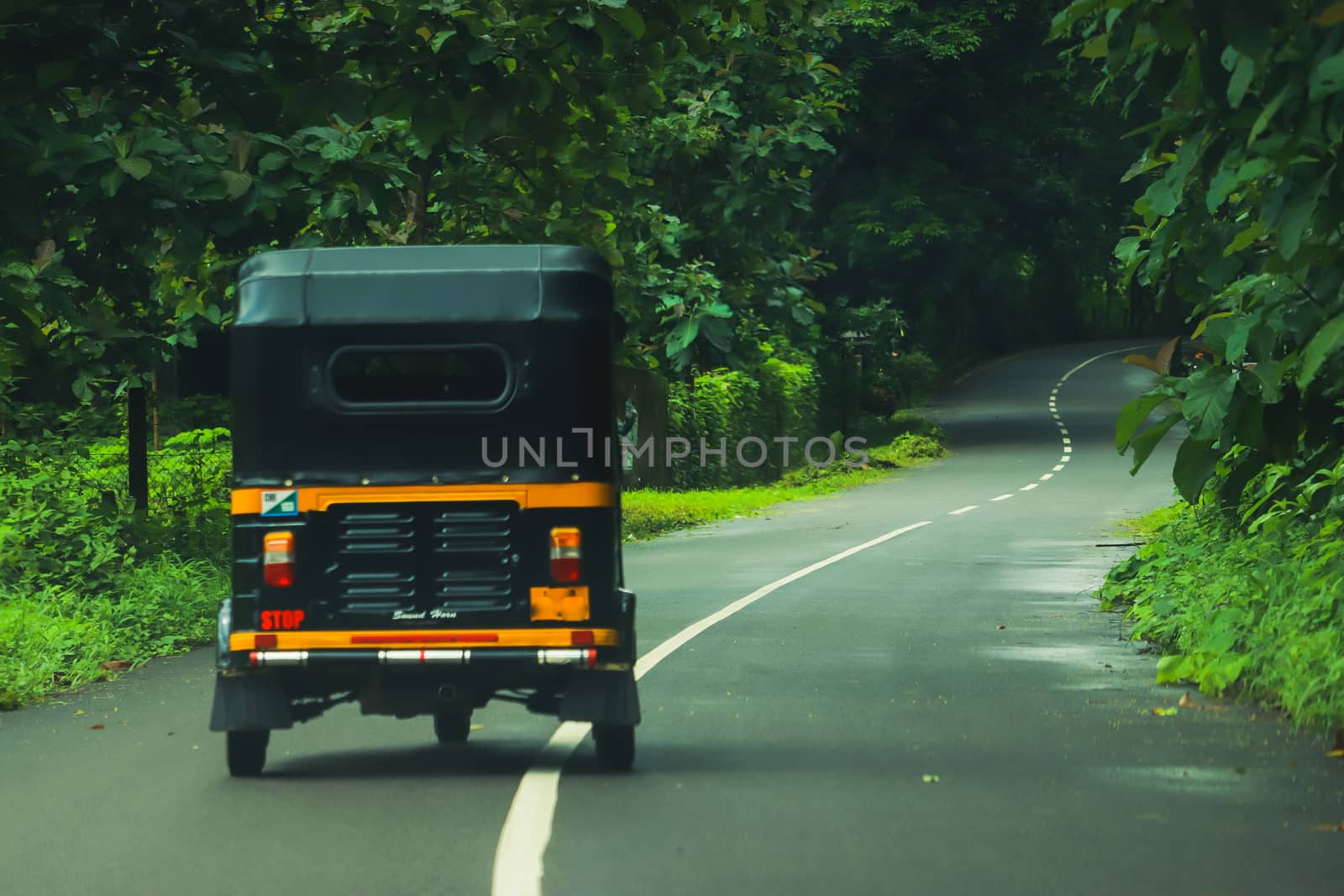 A black three wheeler running towards the forest in the road
