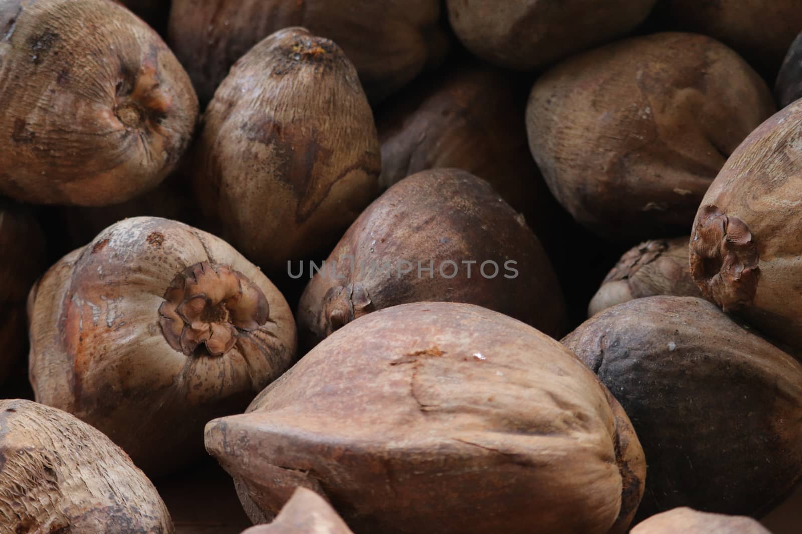 Dry coconut stored in the floor by amr_lal