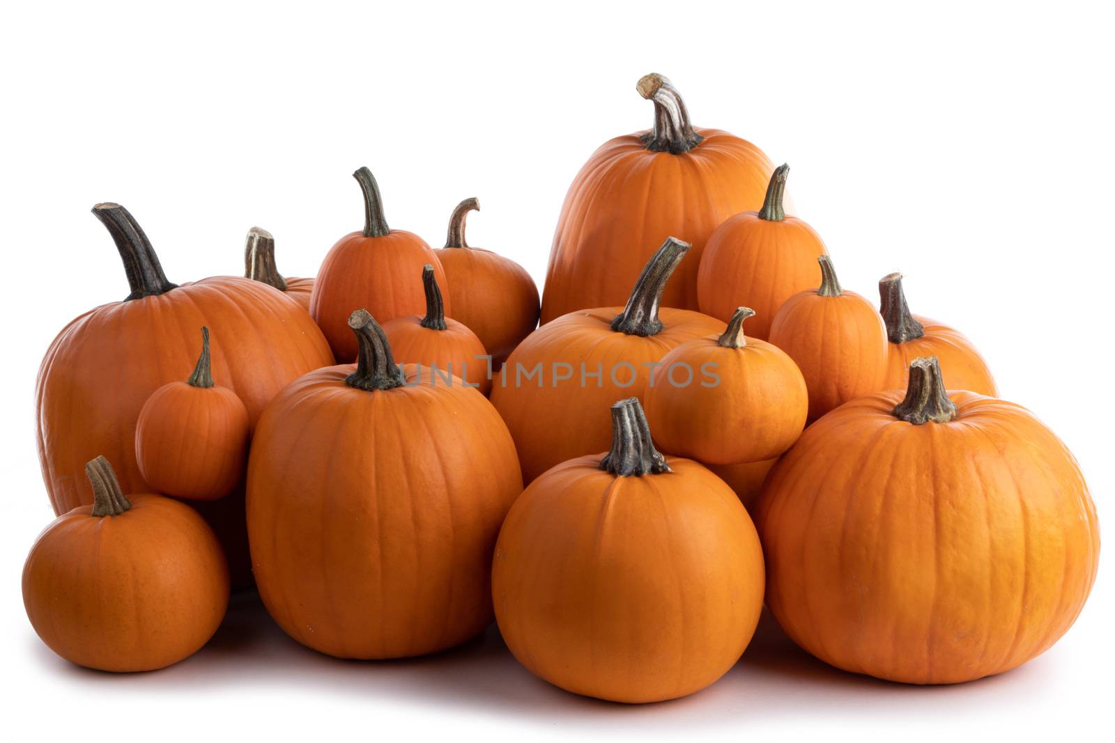 Heap of many orange pumpkins isolated on white background, Halloween concept