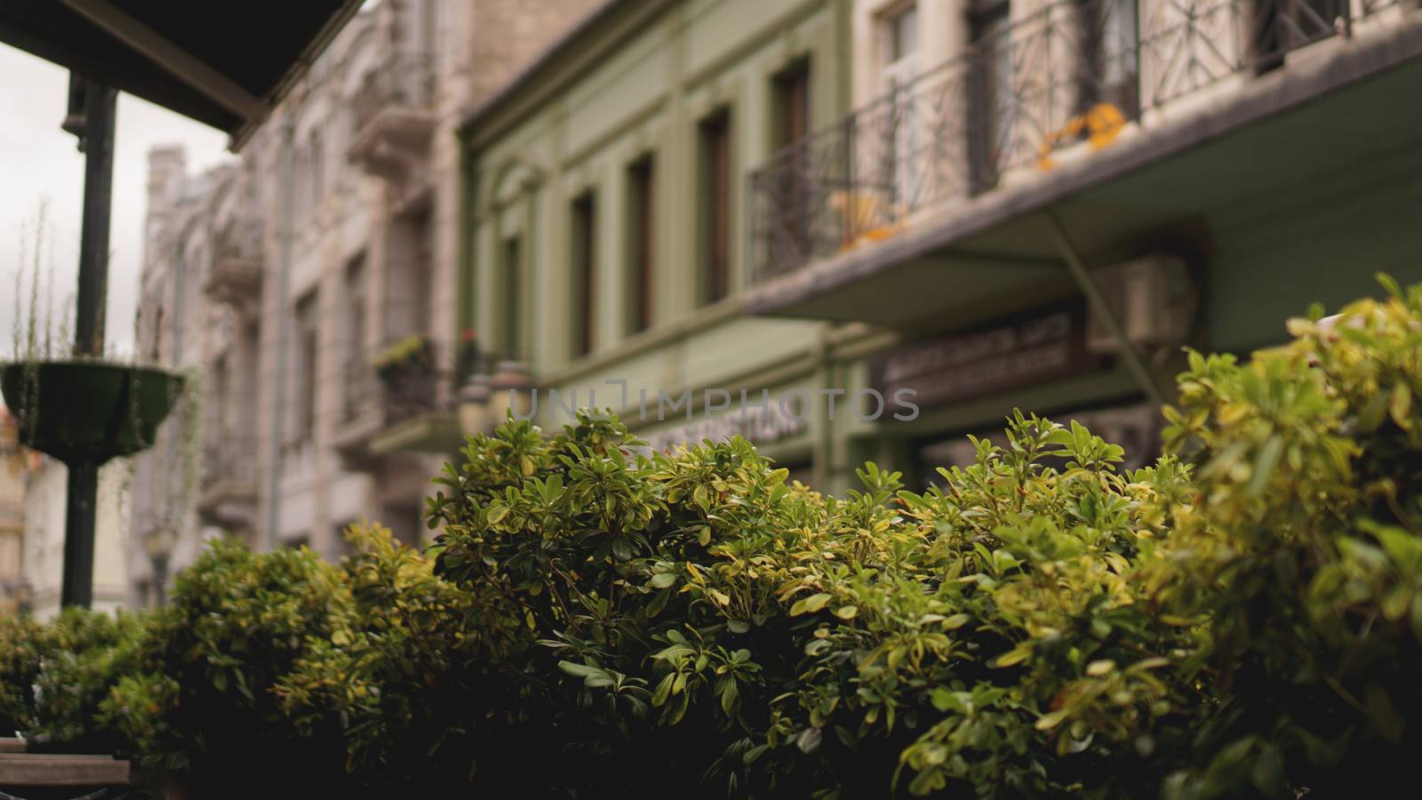 Beautiful summer terrace of the open-type restaurant by natali_brill