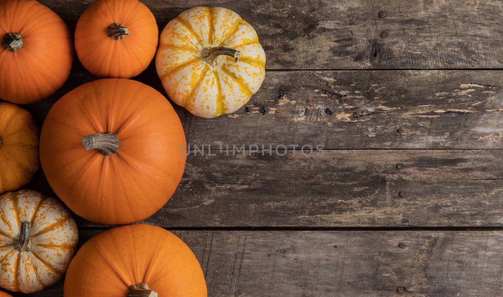 Many orange pumpkins on wooden background , Halloween concept , top view with copy space