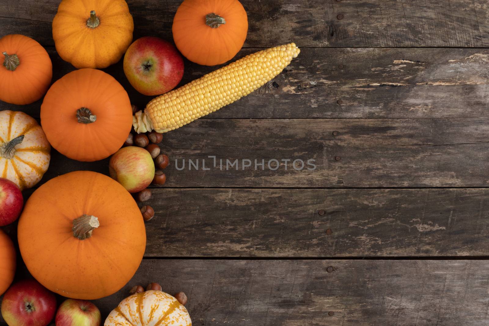 Autumn harvest still life with pumpkins, apples, hazelnut, corn, on wooden background, top view with copy space