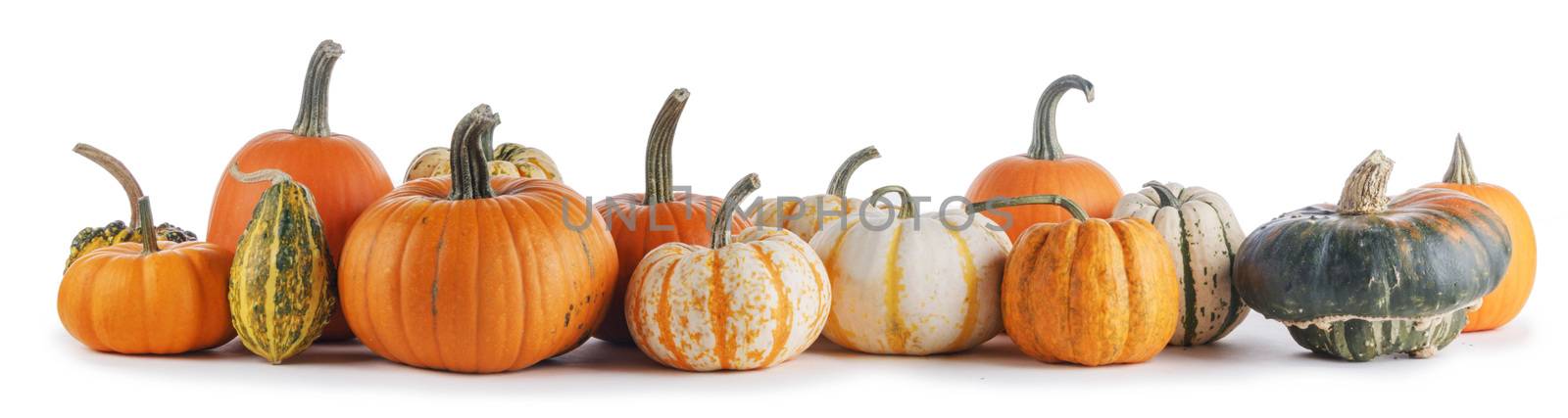 Assortiment of pumpkins on white by Yellowj