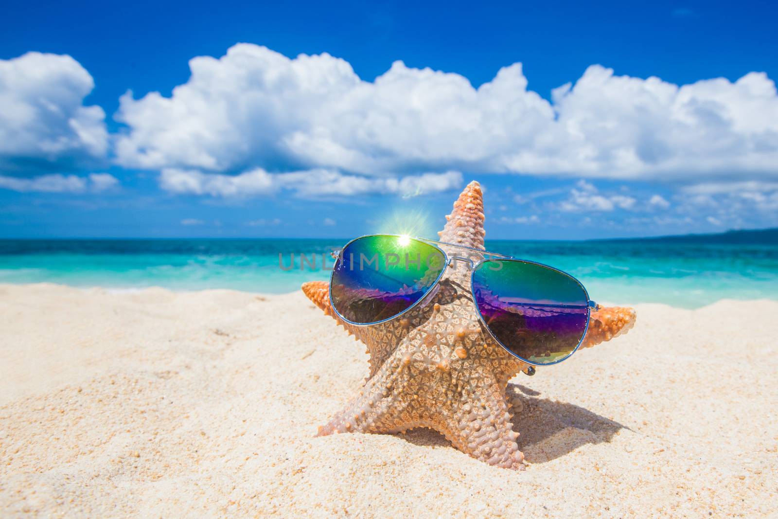 Starfish with sunglasses on sand of tropical beach at Philippines