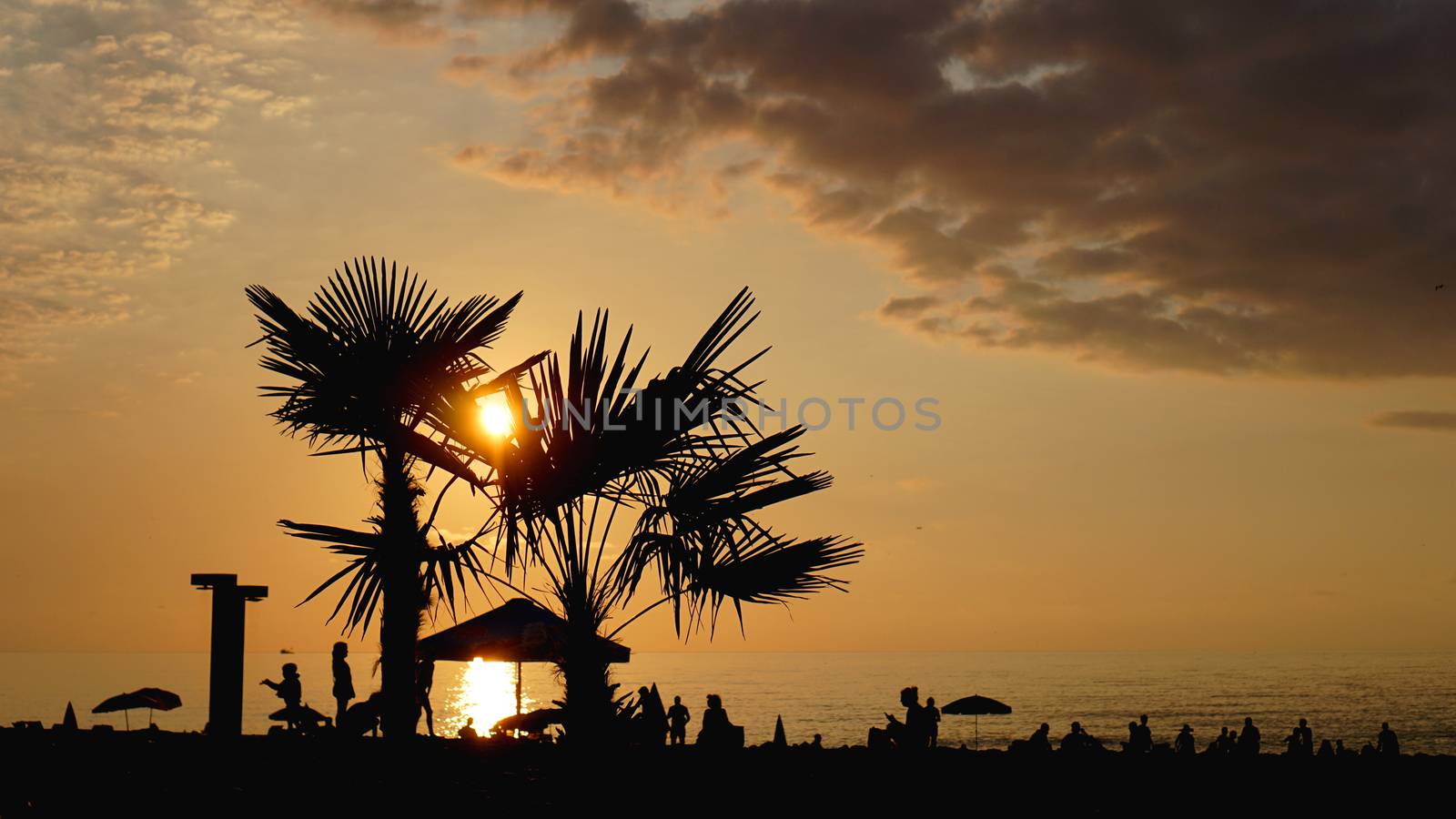 Sunset landscape. beach sunset. palm trees silhouette on sunset tropical beach by natali_brill