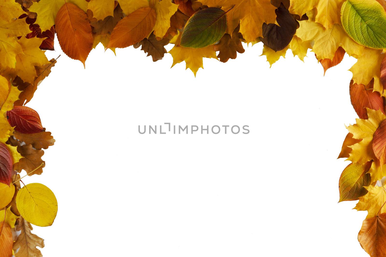 Autumn leaves frame by Yellowj
