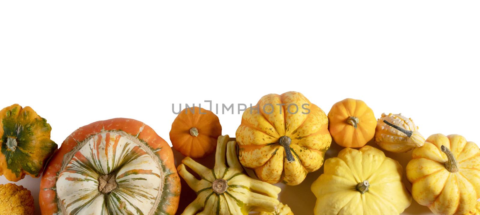 Assortiment of pumpkins on white by Yellowj